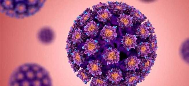 VPH - Virus do papiloma humano